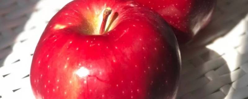 怎么判断花牛苹果是粉的还是脆的(花牛苹果变粉了怎么保存)