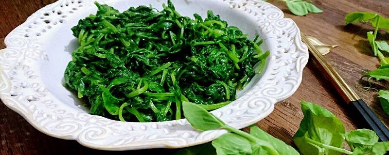 素菜有哪几种菜(素菜一般都有什么菜)