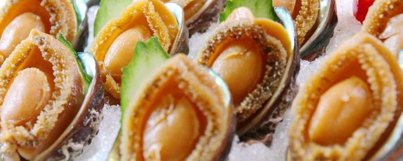 死了的鲍鱼能吃吗?(死了的鲍鱼可以吃吗)