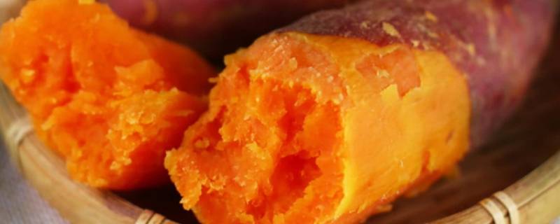 红薯怎么储存过冬不坏(红薯怎么储存过冬不会坏)