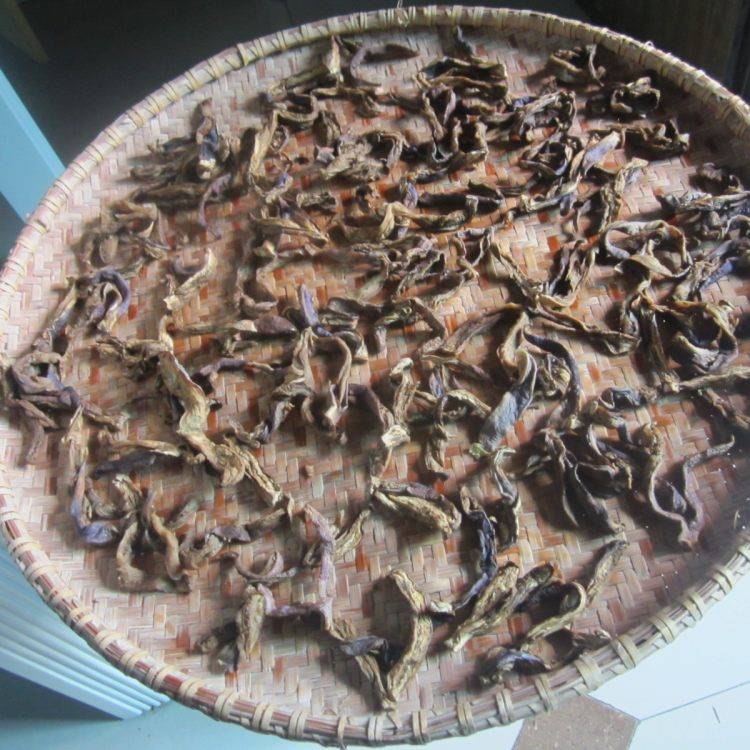 茄子怎么晒干的方法有几种(晒干茄子的做法)