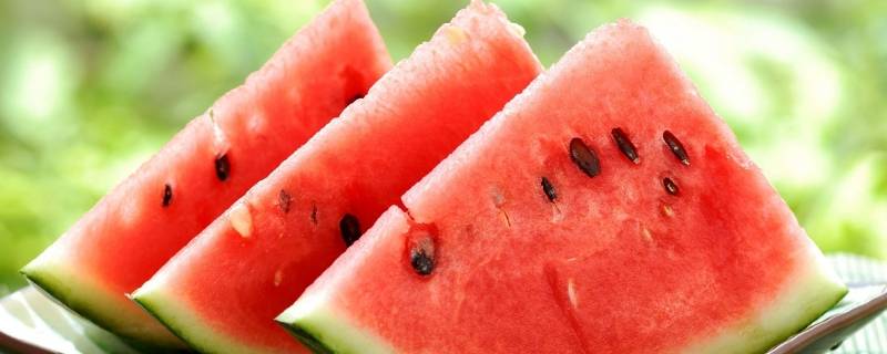 晚上只吃西瓜减肥吗(西瓜为什么不能晚上吃)