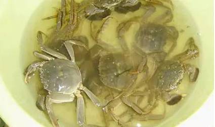 清蒸螃蟹怎么清洗最干净(清蒸螃蟹应该怎么清洗)