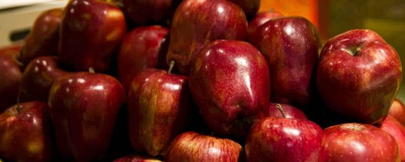 蛇果是什么(蛇果是不是转基因食品)