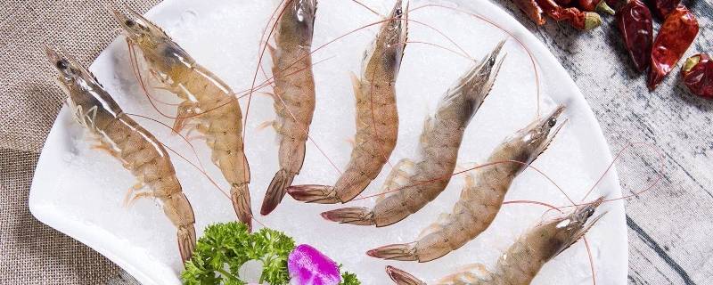 海白虾是深海虾吗(鲜海白虾是淡水虾吗)