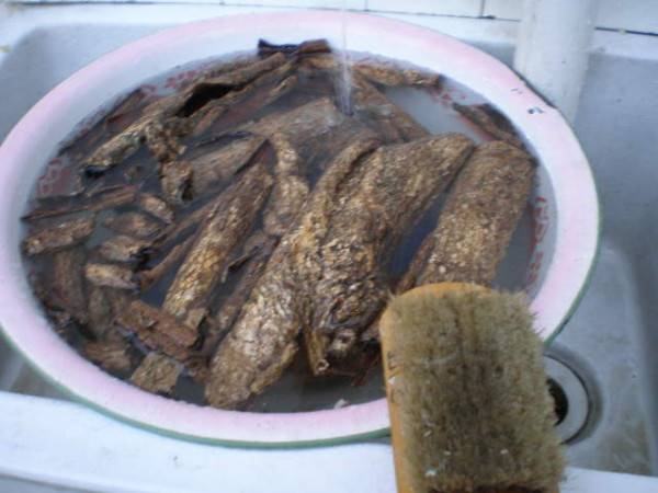 炒杜仲怎么做法(怎么炒杜仲)