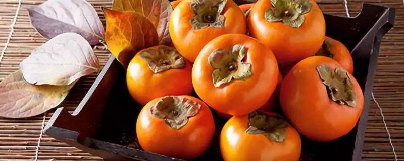 硬柿子怎么弄又甜又脆(柿子怎么泡才脆甜好吃 广东)