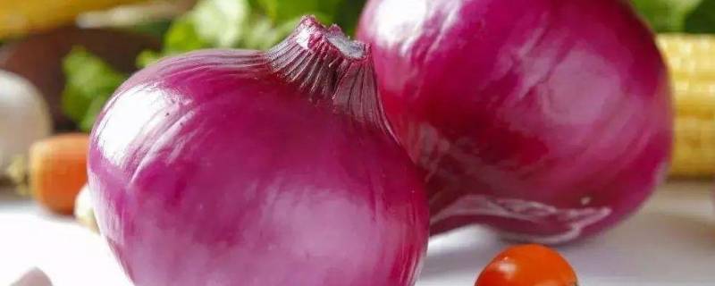 怎么炒洋葱比较好吃(怎么炒洋葱才好吃)