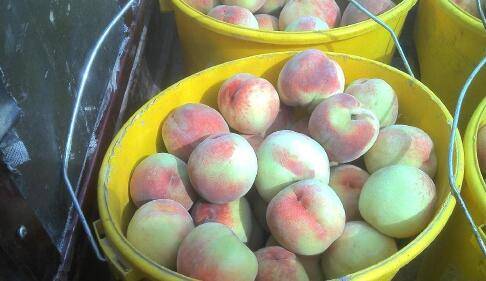 痒痒粉怎么做好吃又简单(超简单的痒痒粉怎么做)