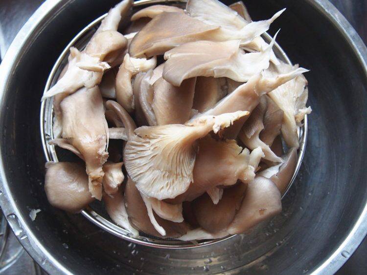 干炸蘑菇怎么做好吃视频(干炸蘑菇怎么做不油)