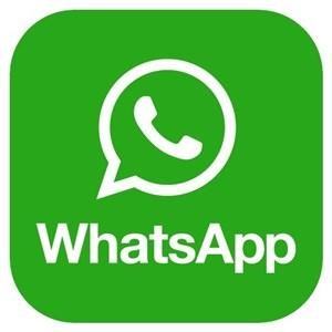 下载whatsapp手机版(下载whatsapp旧版)