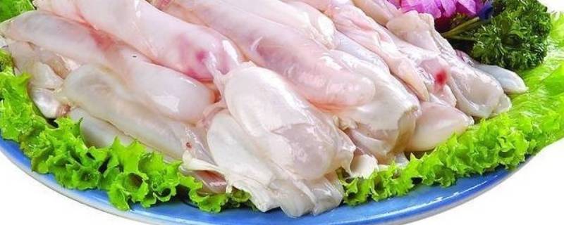 鱼肚怎么炒好吃(鱼肚怎么炒不腥)