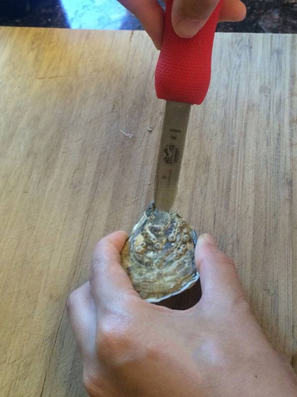 开生蚝最快最简单的方法(开生蚝做法教程)