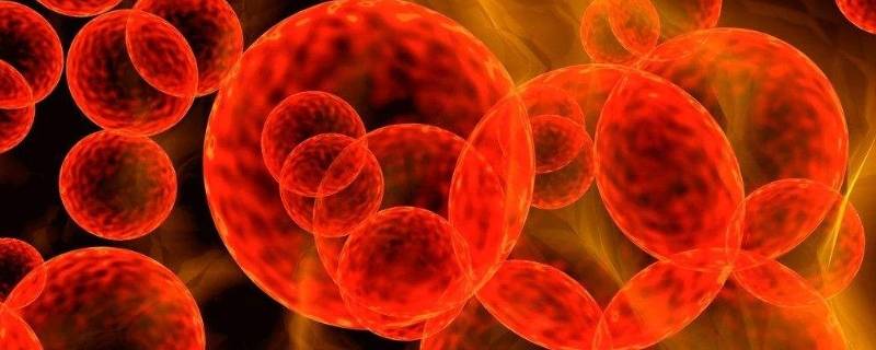 sars病毒是哪一年(sars是哪一年)