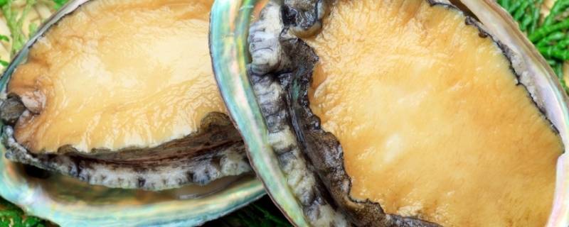 鲍鱼怎么洗最快最干净(鲍鱼怎么洗才洗得干净)