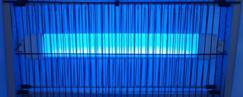 灭蝇灯不亮了是什么原因(灭蝇灯原理维修)