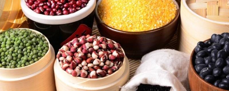 五谷中的菽(五谷中的菽指的是啥)