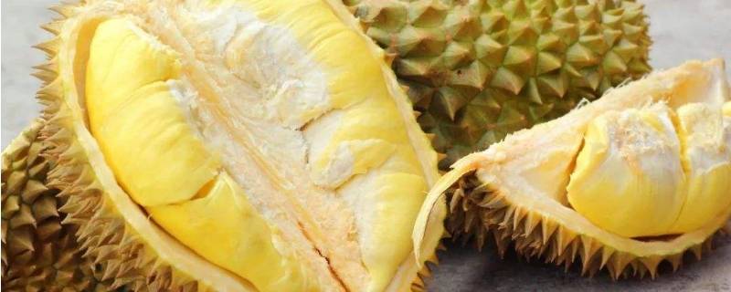 吃多了榴莲为什么睡不着(为什么闻榴莲味睡不着)