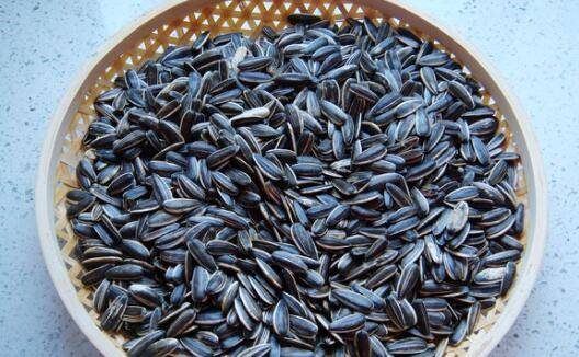 原味瓜子怎么炒熟(炒原味瓜子教程)