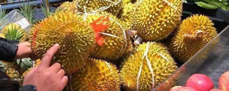 榴莲怎么开口剥开(榴莲怎么开口没裂)