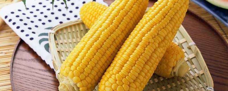 正在煮的玉米怎么判断熟没熟(怎么判断煮的玉米熟没熟)