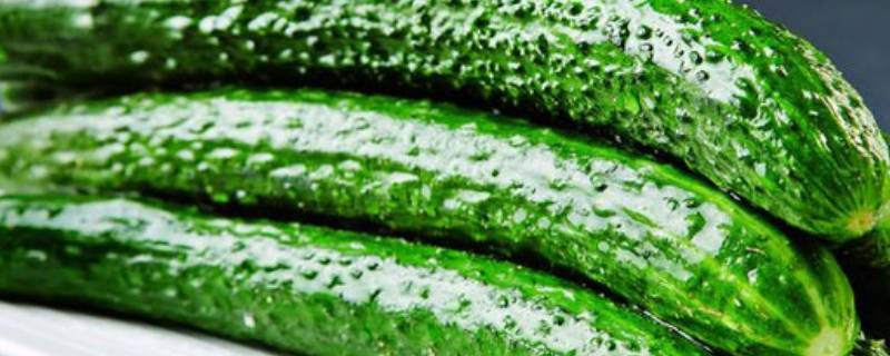 黄瓜怎么冻到冰箱保存视频(黄瓜怎么冻到冰箱保存)