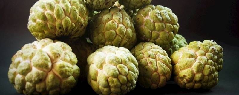 释迦果不是特别软可以吃吗(释迦果软了就可以吃吗)