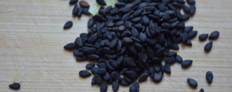 芝麻怎么洗才干净视频(芝麻怎么洗视频)