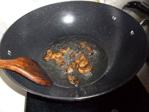 炸知了猴的做法(知了猴除了油炸还能怎么吃)