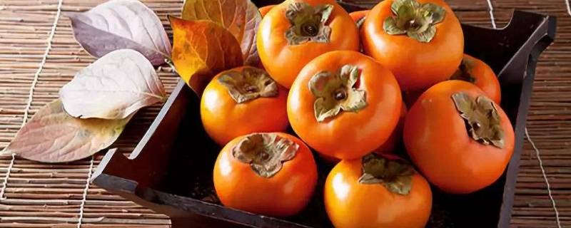 脆柿熟了吗(脆柿子怎么区分熟没熟)