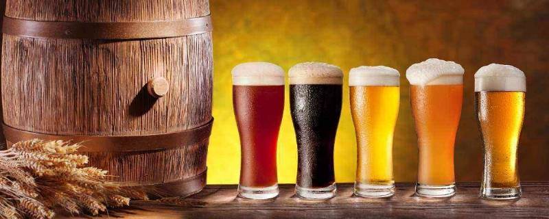菠萝啤和啤酒能一起喝吗(菠萝啤和啤酒的区别)