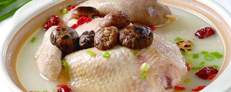 清炖鸡怎么做啊(清炖鸡怎么做好吃还香)