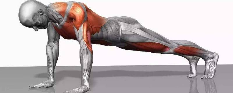 俯卧撑的好处及坏处(俯卧撑的好处与作用视频教程)