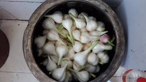 新蒜怎么样腌制好吃(怎么腌咸蒜才好吃)