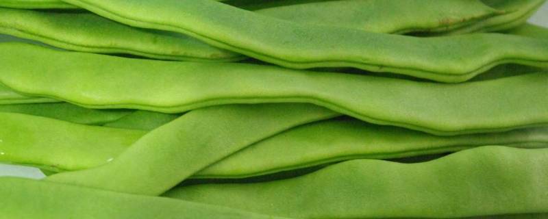 新鲜的扁豆吃不完怎么保存(扁豆怎样保存到冬天吃)