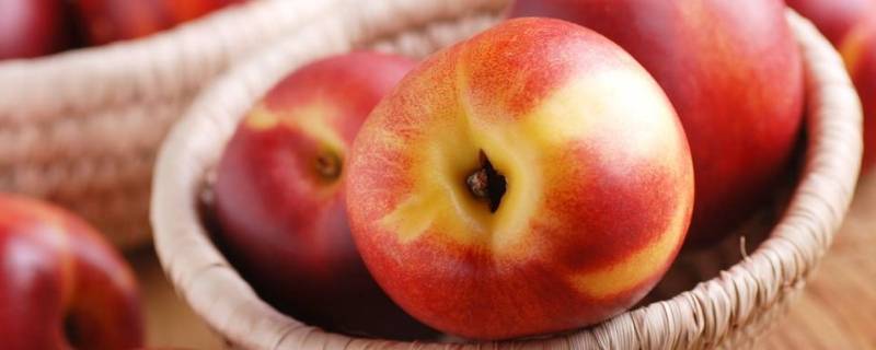 油桃一般能存放多久(油桃常温下可以放几天)