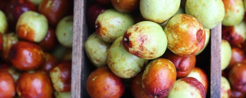 泡糖精水的枣是什么样(怎么分辨干枣有没有泡过糖水)