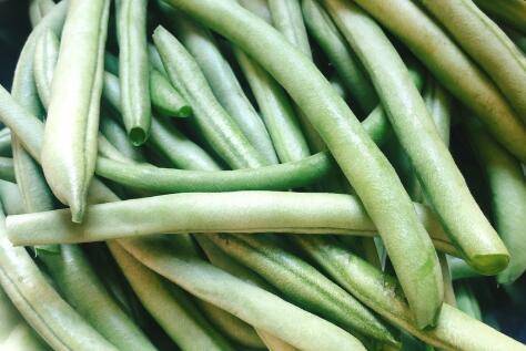 东北干豆角丝怎么容易烂(东北干豆角丝怎么晒成的)