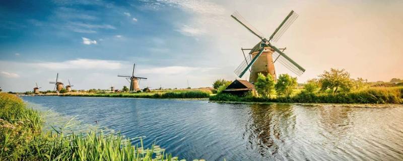 荷兰有什么名人(荷兰有什么国之称)