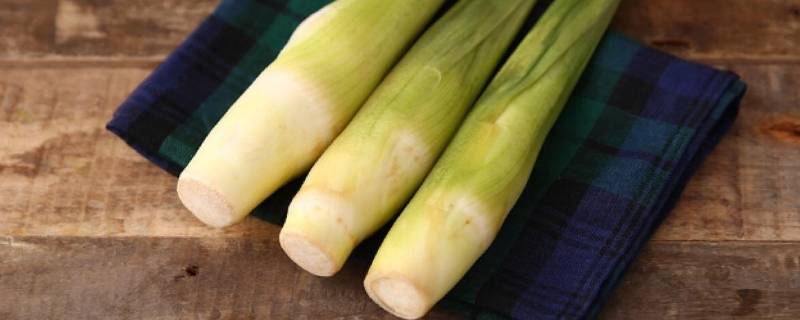 茭白里面很多黑点能吃吗(茭白种植里面有黑点怎么预防)