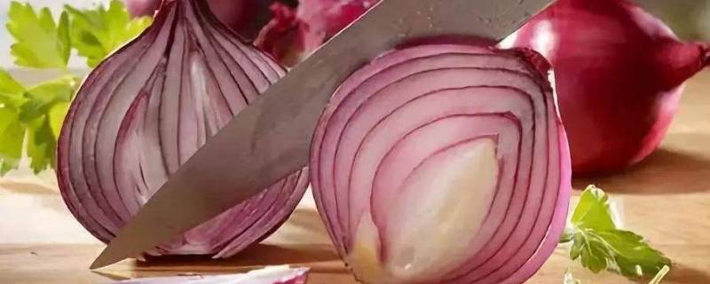 如何挑选甜的洋葱(怎样挑选洋葱才是正确的)