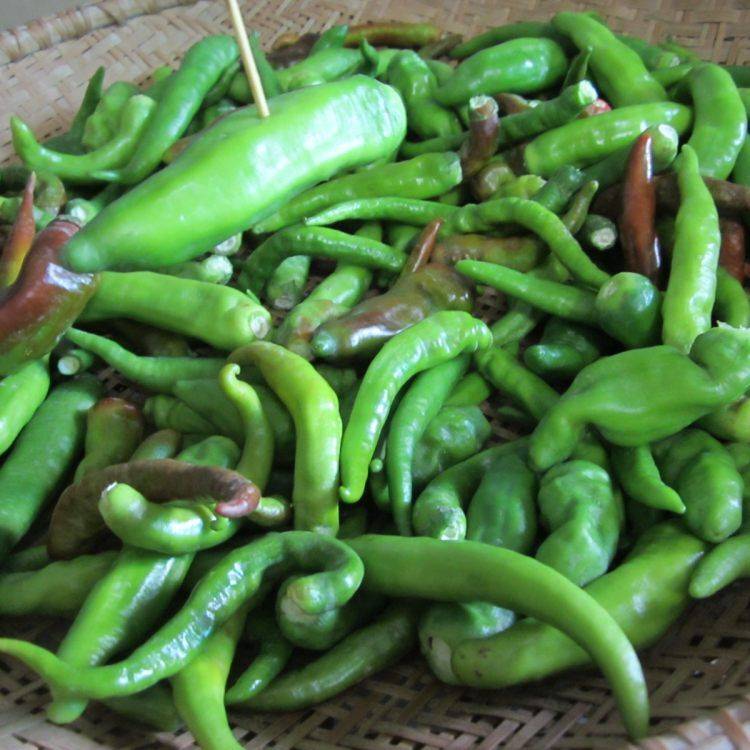 青辣椒整个怎么腌的好吃(怎样腌的青辣椒好吃)