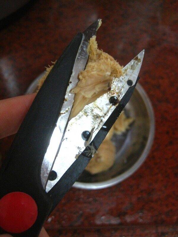 猴头菇怎么做不苦(猴头菇怎么做)