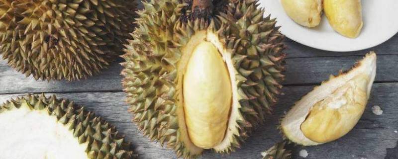 榴莲为啥是硬的(硬包榴莲怎么吃)