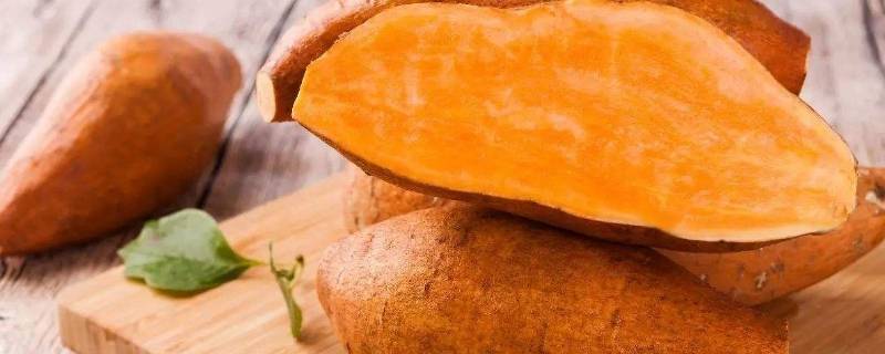 红薯的保存方法家庭(红薯在家怎样保存)