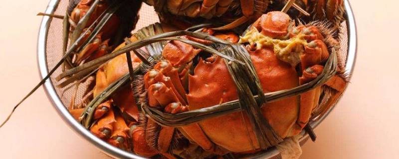 螃蟹排出黄色液体(活螃蟹流出来的黄东西是什么)