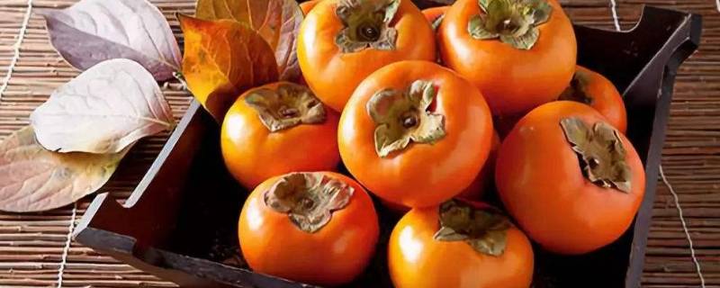 柿子里面有黑点能吃吗(柿子里面有黑色的小点点能吃吗)