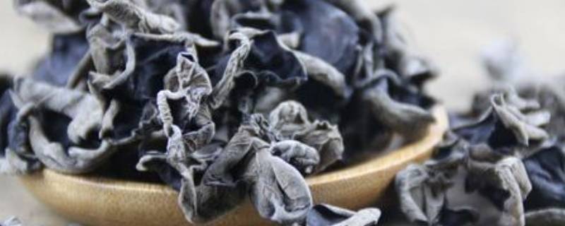 干木耳4年了还能吃吗(几年前的干木耳还能吃吗)