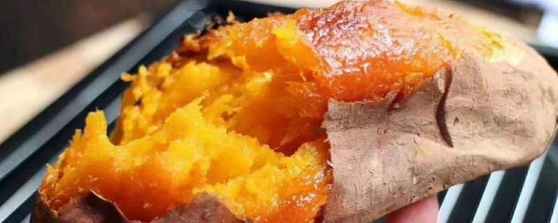 熟地瓜可以冷冻吗(地瓜熟的能冷冻吗)