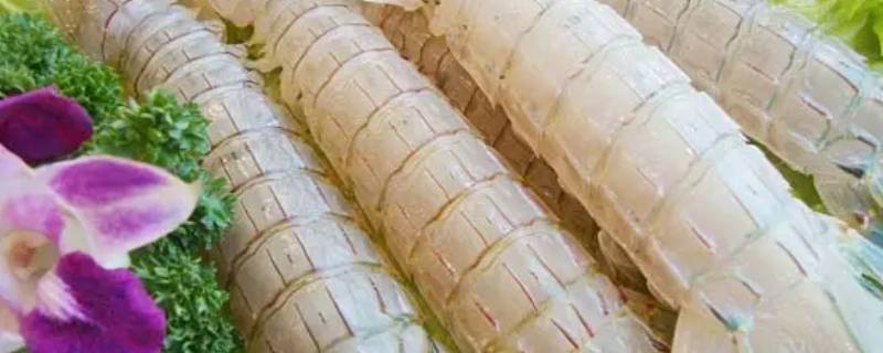 煮皮皮虾需要放盐么(炒皮皮虾要放盐吗)